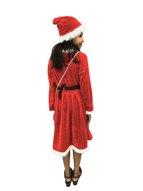 BookMyCostume Christmas Dress for Girls Santa Theme Frock Fancy Dress Costume | Santa Girl Costume - Premium